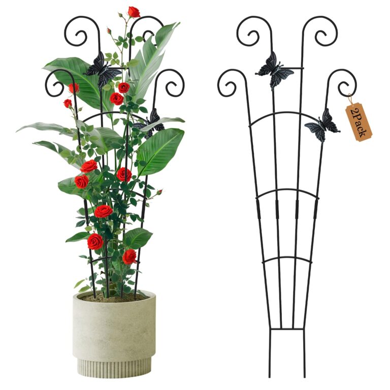 Best Trellis for Climbing Plants for Durable and Elegant Garden Support
